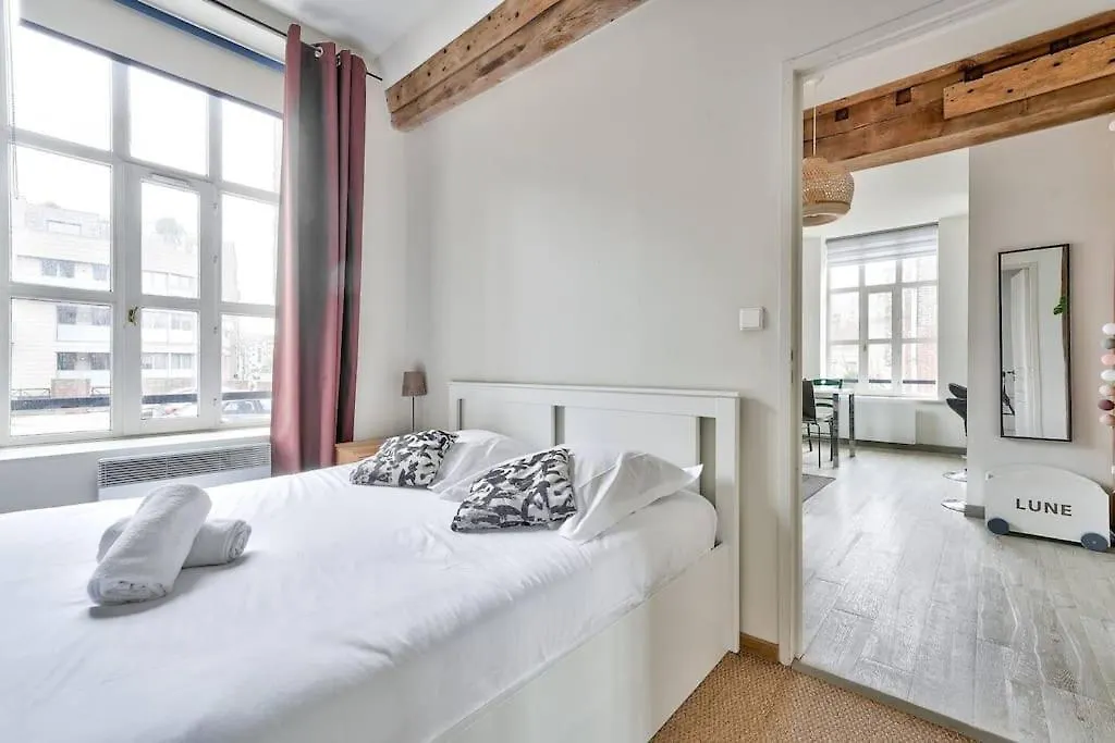 Appartement Lumineux Et Calme Parking Gratuit Rijsel